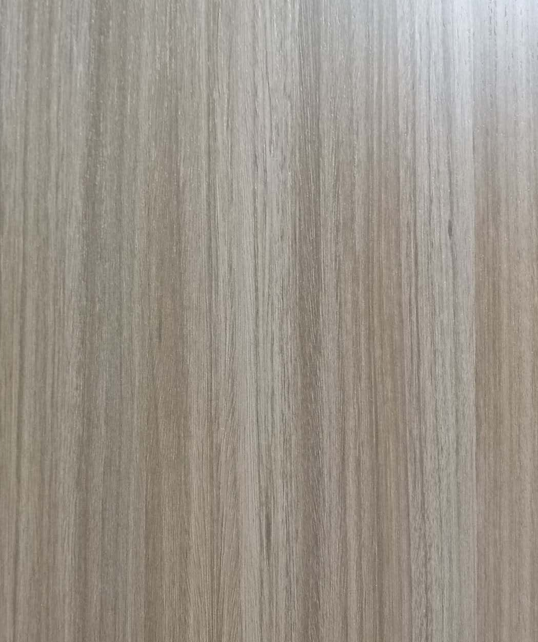 罗马假日