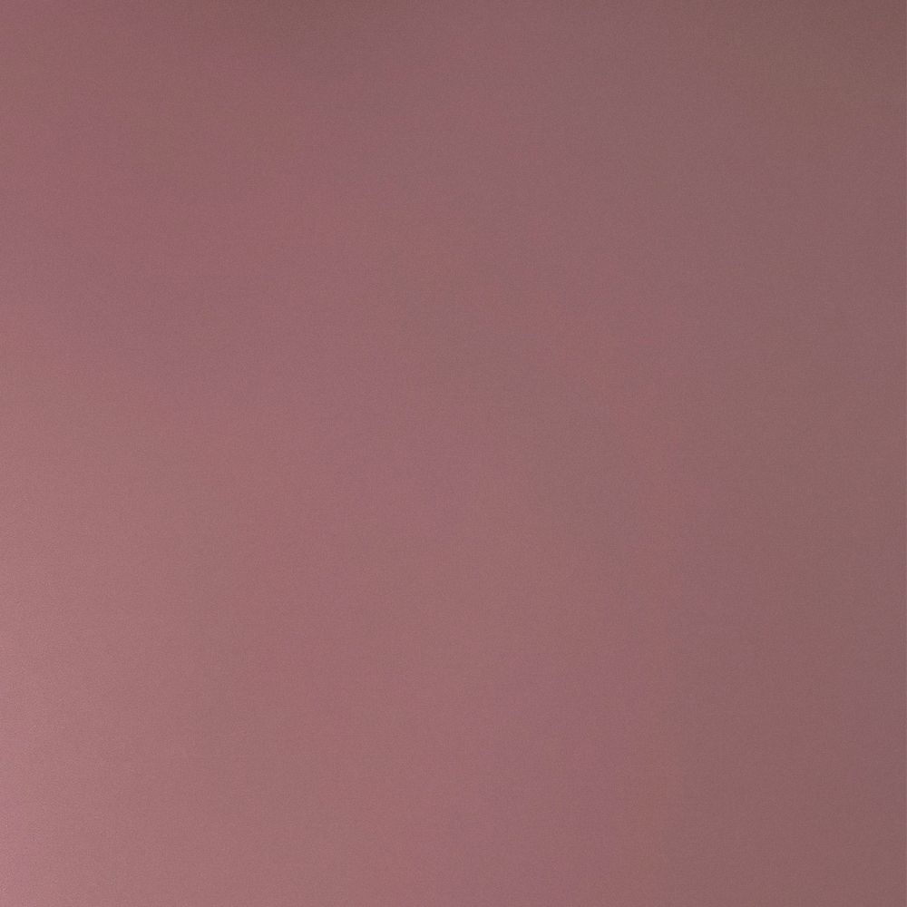 粉色蔷薇