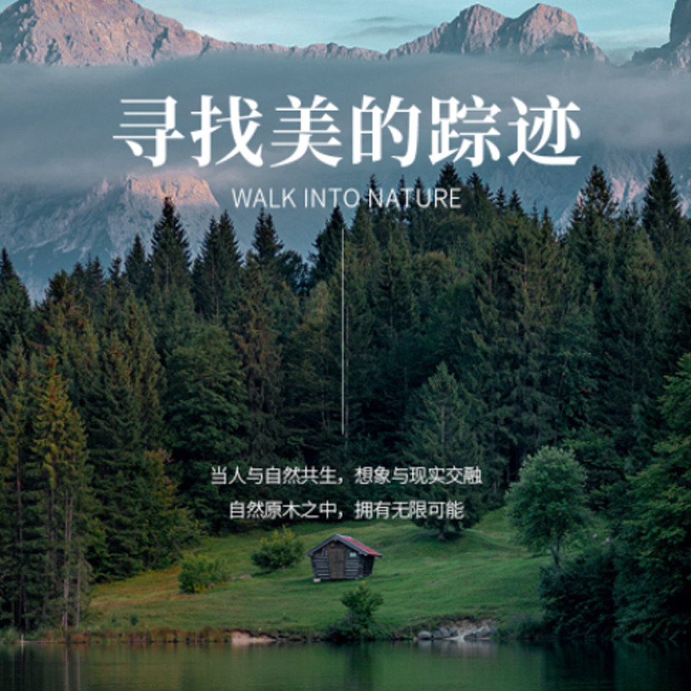 卜森家 |  走进大自然寻找美的踪迹